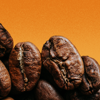 ecl-renovation-coffee-teaser-3