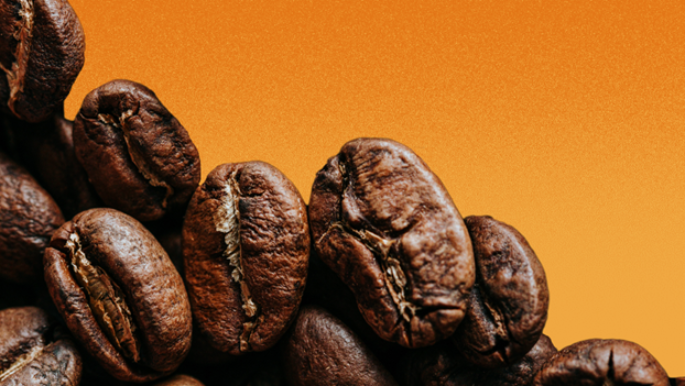 ecl-renovation-coffee-teaser-3