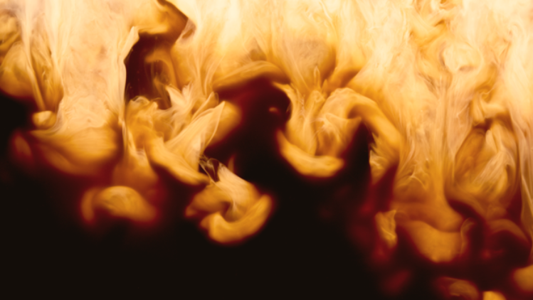 ecl-renovation-coffee-teaser-4